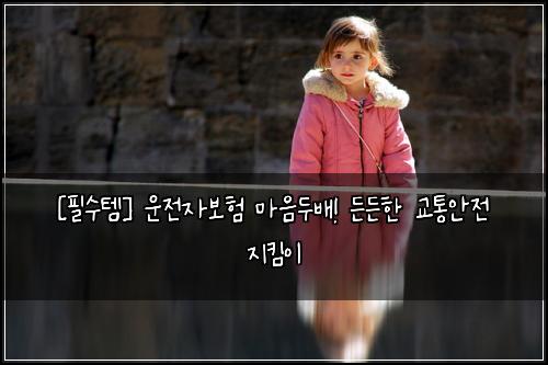  [필수템] 운전자보험 마음두배! 든든한 교통안전 지킴이
