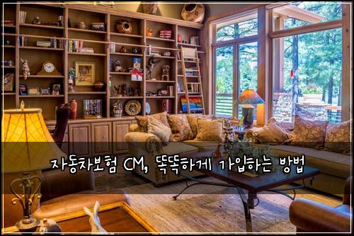  자동차보험 CM, 똑똑하게 가입하는 방법