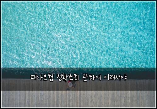 태아보험 정확조회  관하여 이래서야