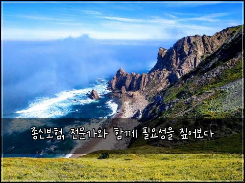  종신보험, 전문가와 함께 필요성을 짚어보다