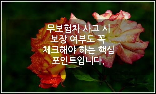 오늘의 이미지