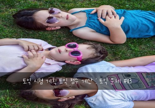 토익 시험 계획 토익 점수 계산 : 토익 문제 #113