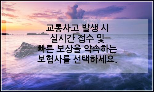 오늘의 이미지