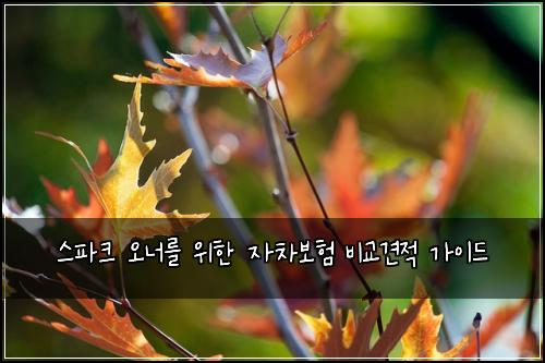 스파크 오너를 위한 자차보험 비교견적 가이드