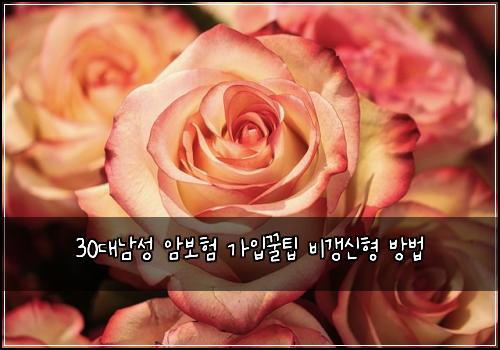 30대남성 암보험 가입꿀팁  비갱신형 방법