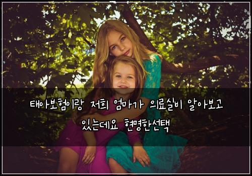 태아보험이랑 저희 엄마가 의료실비 알아보고 있는데요 현명한선택