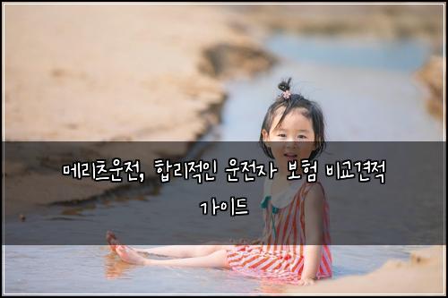 메리츠운전, 합리적인 운전자 보험 비교견적 가이드