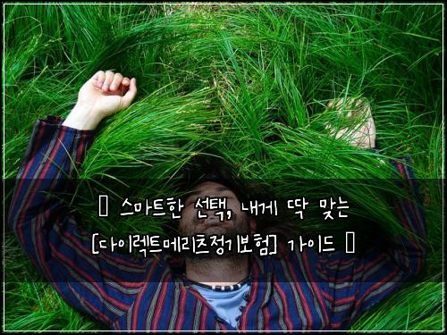  ✨ 스마트한 선택, 내게 딱 맞는 [다이렉트메리츠정기보험] 가이드 ✨