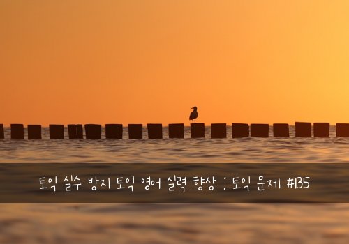 토익 실수 방지 토익 영어 실력 향상 : 토익 문제 #135