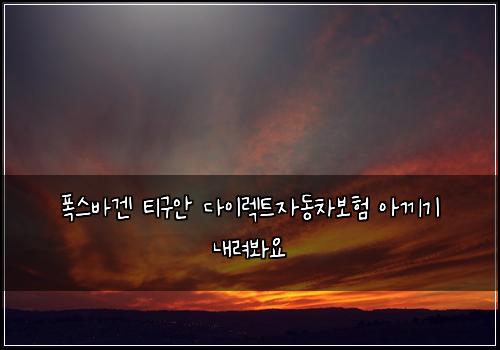 폭스바겐 티구안 다이렉트자동차보험 아끼기  내려봐요