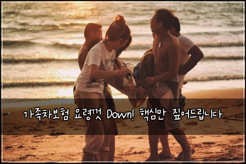 가족차보험 요령껏 Down! 핵심만 짚어드립니다