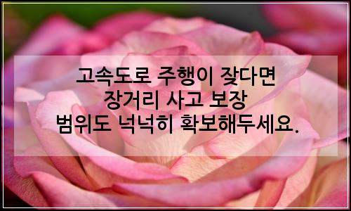 오늘의 이미지