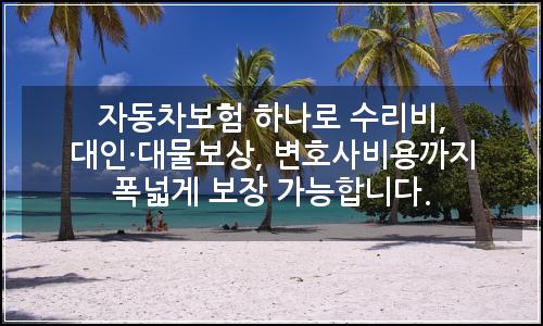 오늘의 이미지
