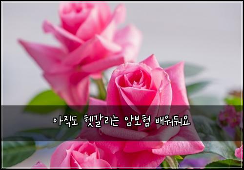 아직도 헷갈리는 암보험 배워둬요 