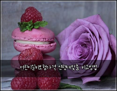 어린이실비보험가격 연령대맞춤 비교방법