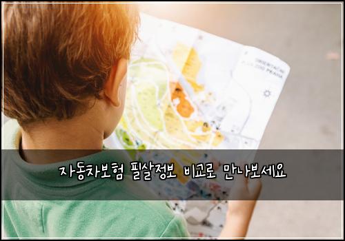자동차보험 필살정보  비교로 만나보세요