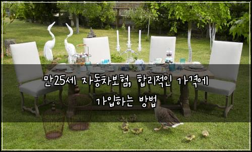 만25세 자동차보험, 합리적인 가격에 가입하는 방법