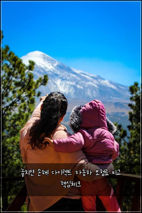  놓치면 손해! 다이렉트 자동차 보험료 비교 핵심체크