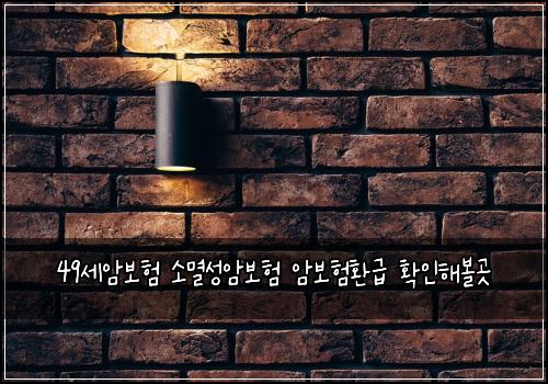 49์ธ์๋ณดํ ์๋ฉธ์ฑ์๋ณดํ ์๋ณดํํ๊ธ ํ์ธํด๋ณผ๊ณณ