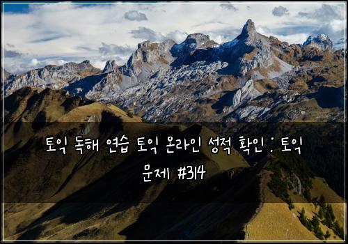 토익 독해 연습 토익 온라인 성적 확인 : 토익 문제 #314