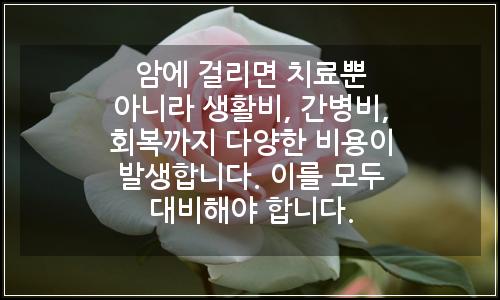 오늘의 이미지