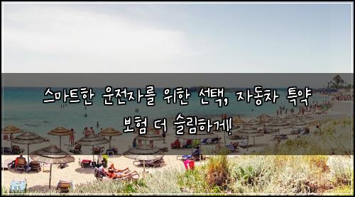  스마트한 운전자를 위한 선택, 자동차 특약 보험 더 슬림하게!