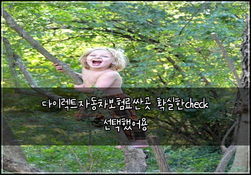 다이렉트자동차보험료싼곳 확실한check 선택했어용
