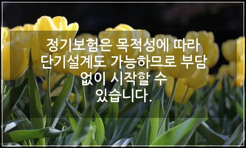 오늘의 이미지