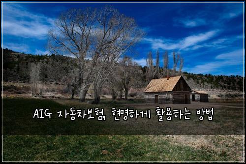 AIG 자동차보험, 현명하게 활용하는 방법