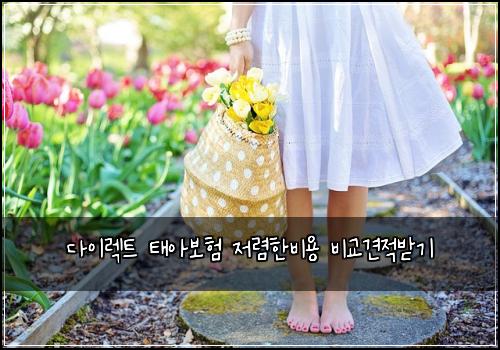 다이렉트 태아보험 저렴한비용  비교견적받기
