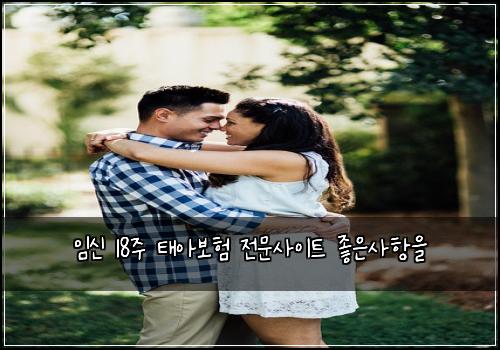 임신 18주 태아보험 전문사이트  좋은사항을
