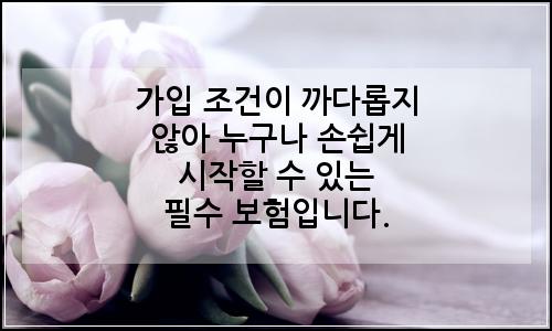 오늘의 이미지