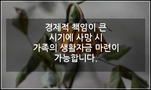 오늘의 이미지