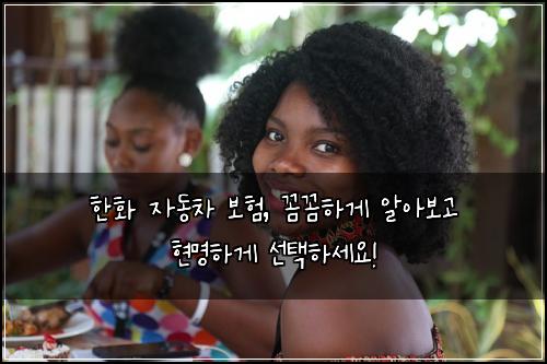 한화 자동차 보험, 꼼꼼하게 알아보고 현명하게 선택하세요!