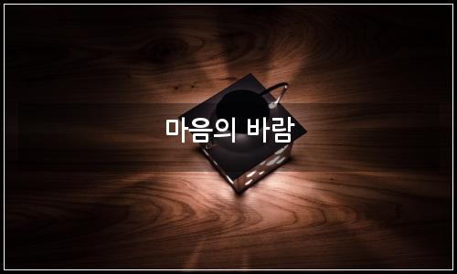 오늘의 이미지