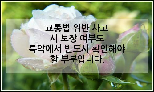 오늘의 이미지