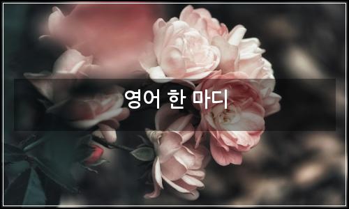 오늘의 이미지