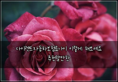 다이렉트자동차보험료나이 이렇게 해보세요 추천할만한