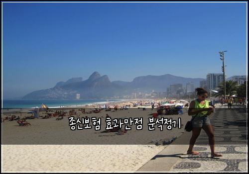 종신보험 효과만점  분석정기