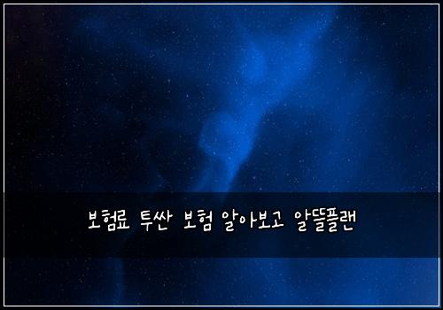 ๋ณดํ๋ฃ ํฌ์ผ ๋ณดํ ์์๋ณด๊ณ ์๋ฐํ๋