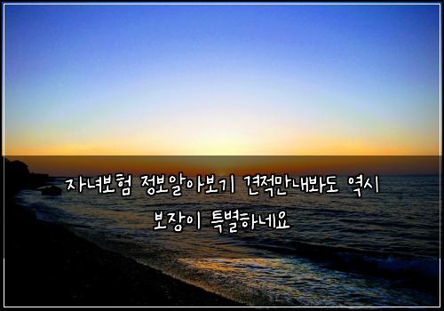 자녀보험 정보알아보기  견적만내봐도 역시 보장이 특별하네요