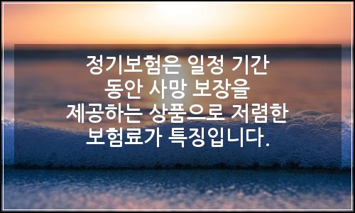 오늘의 이미지
