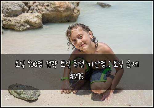 토익 900점 전략 토익 취업 가산점 : 토익 문제 #275