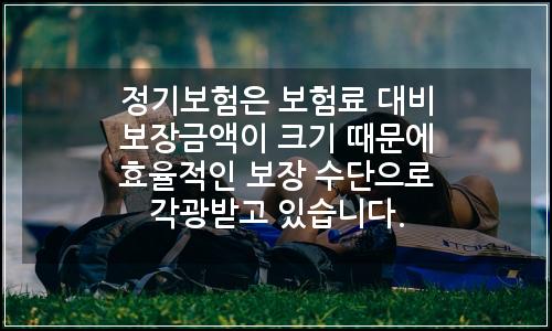 오늘의 이미지