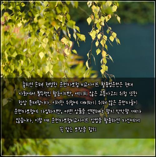  놓치면 손해! 현명한 운전자보험 비교사이트 활용법

운전은 현대 사회에서 필수적인 활동이지만, 예기치 않은 교통사고의 위험 또한 항상 존재합니다. 이러한 위험에 대비하기 위해 많은 운전자들이 운전자보험에 가입하지만, 어떤 상품을 선택해야 할지 막막할 때가 많습니다. 이럴 때 운전자보험비교사이트 방법을 활용하면 자신에게 꼭 맞는 보장을 합리