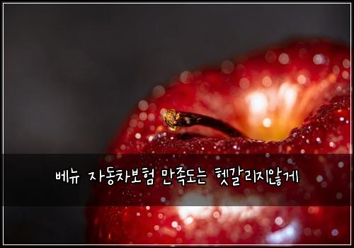 베뉴 자동차보험 만족도는  헷갈리지않게