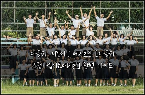 자동차 지킴이 : 메리츠로 [자동차 보험가입이요메리츠] 완벽 가이드