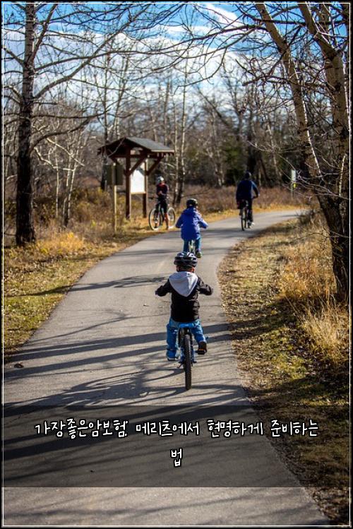 가장좋은암보험: 메리츠에서 현명하게 준비하는 법