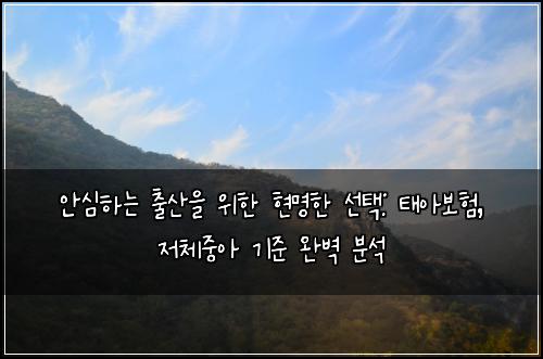  안심하는 출산을 위한 현명한 선택: 태아보험, 저체중아 기준 완벽 분석