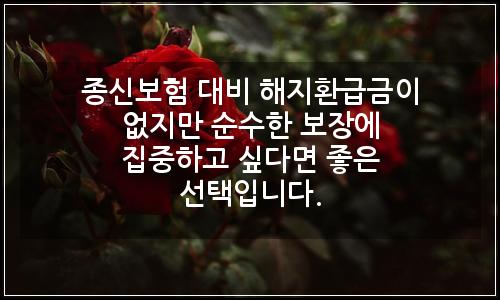 오늘의 이미지